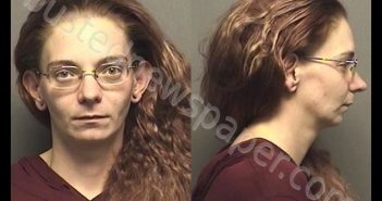 RENO,CYNTHIA ANN | 2019-11-08 19:57:00 Saline County, Kansas Booking