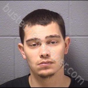 BONG, ANTHONY J | 2019-11-08 05:36:00 Will County, Illinois Booking