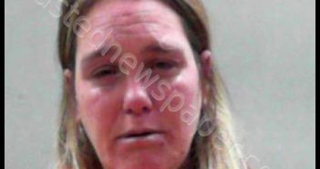 HARRIS, JAMIE LYNN | 2019-11-08 00:35:00 Ohio County, West Virginia Booking