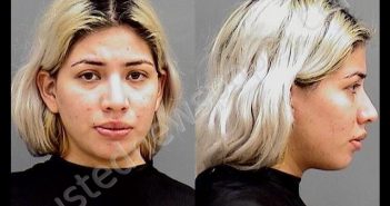 <B>PEREZ</B>, <B>KARLA</B> <B>IVONE</B> #, Hamilton County, Indiana - 2019-11-09 05:12:00