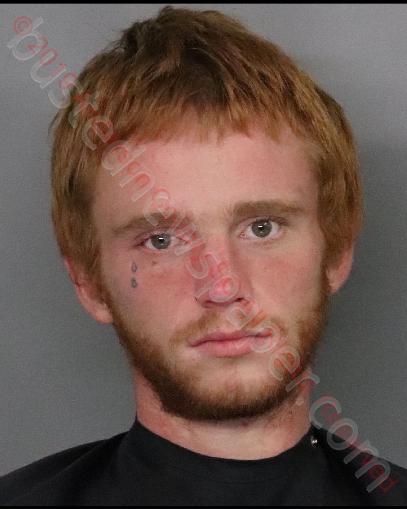 DYLAN LEE DAVIS #, Anderson County, South Carolina - 2019-11-09 10:00:00