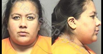 ARAGON,ALEJANDRINA | 2019-11-09 02:50:00 Saline County, Kansas Booking