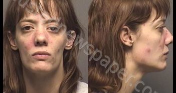 CONNELL,PAIGE ASHLEY | 2019-11-09 05:31:00 Saline County, Kansas Booking