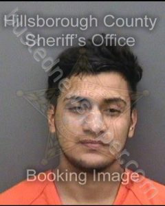 LOPEZ SOSA,JONATHAN | 2019-11-09 03:52:00 Hillsborough County, Florida Booking