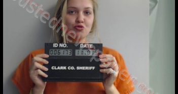 CHRISTINA ROSE GERECKE | 2019-11-10 14:46:00 Clark County, Missouri Booking