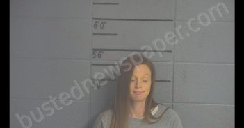 MELINDA SUE YOUNG | 2019-11-12 19:19:00 Adair County, Kentucky Booking