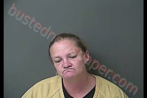 STACIE PAULINE LANDES | 2019-11-12 19:36:51 Howard County, Indiana Booking