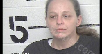 HELMS, CANDY REA | 2019-11-12 13:23:00 Chase County, Kansas Booking