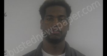 STEVEN MICHAEL LOGAN | 2019-11-12 13:45:00 Western Tidewater, Virginia Booking