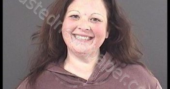 DAY, LAURA LOUISE | 2019-11-12 10:46:00 Roanoke County, Virginia Booking