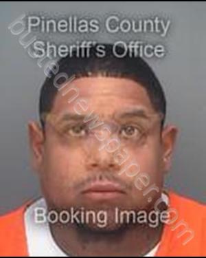 GONZALEZ, LOUIS #, Pinellas County, Florida - 2019-11-13 10:03:49