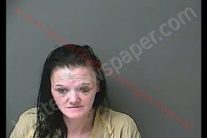 MELODY ANN SOUTHERTON | 2019-11-13 22:56:00 Howard County, Indiana Booking