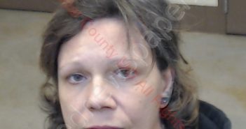 MICHELE R SWAN | 2019-11-13 21:25:00 Cedar County, Missouri Booking