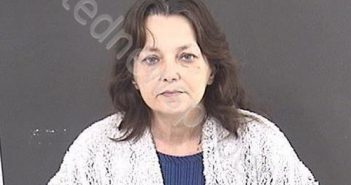 NARUM, JANICE MARIE | 2019-11-13 12:19:00 Roanoke County, Virginia Booking