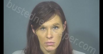 <B>JESSICA</B> RACHAEL <B>NELSON</B> #, St. Joseph County, Indiana - 2019-11-13 18:27:00