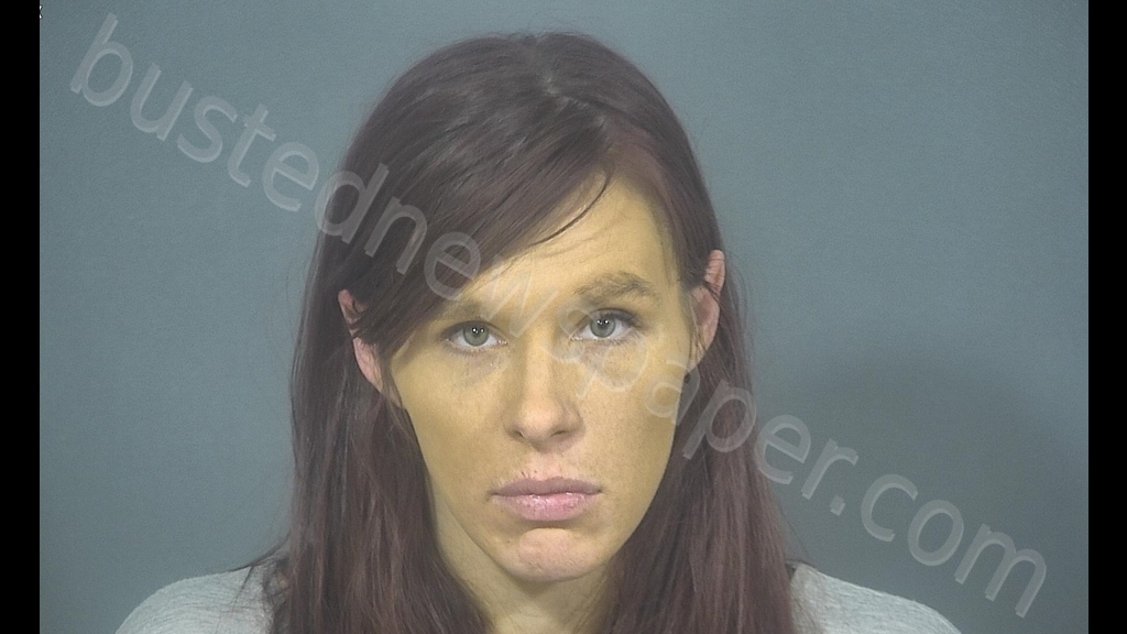 JESSICA RACHAEL NELSON #, St. Joseph County, Indiana - 2019-11-13 18:27:00