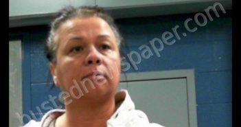 HODGES, KAREN LEE | 2019-11-13 13:50:00 Ohio County, West Virginia Booking