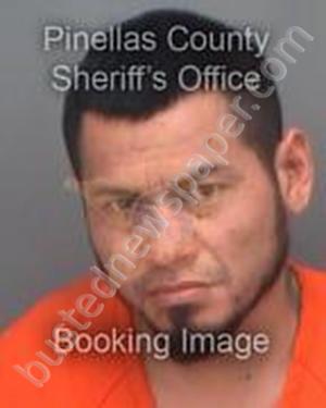SEGURAMARTINEZ, JAIME #, Pinellas County, Florida - 2019-11-13 08:18:55