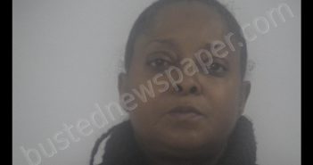 AGATHA RAMONA JOHNSON | 2019-11-14 14:25:00 Western Tidewater, Virginia Booking