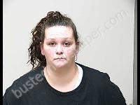 HOULT MEGAN ANN | 2019-11-15 Gratiot County, Michigan Booking