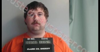 LEVI ELZA MARCH | 2019-11-15 12:11:00 Clark County, Missouri Booking