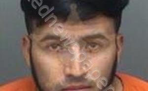 PEREZ-MARTINEZ, REYNALDO | 2019-11-15 14:57:24 Pinellas County, Florida Booking