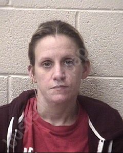 FOSTER, SARA KATHLEEN | 2019-11-15 Alexander County, North Carolina Booking