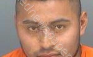 RAMIREZ-LORENZO, RICARDO | 2019-11-15 14:58:35 Pinellas County, Florida Booking