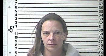 BECKY LYNN MCDANIEL | 2019-11-15 11:51:00 Hardin County, Kentucky Booking