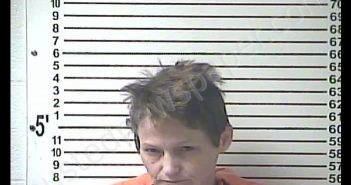 CELESTIA MARIE HAULER | 2019-11-15 13:00:00 Hardin County, Kentucky Booking