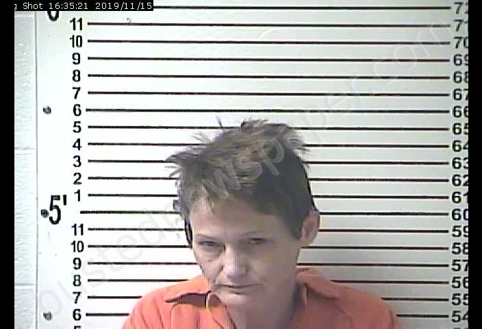 CELESTIA MARIE HAULER #, Hardin County, Kentucky - 2019-11-15 13:00:00