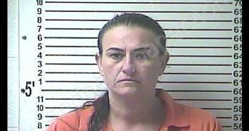 JODI LYNN VAUGHN | 2019-11-15 15:01:00 Hardin County, Kentucky Booking