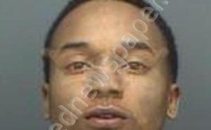 CALDWELL, MILAN RENE | 2019-11-15 15:05:48 Pinellas County, Florida Booking