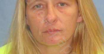 SPARKS,ANGELA MARIE | 2019-11-15 19:34:00 Pulaski County, Arkansas Booking