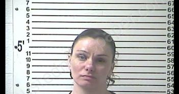 BRANDY ANN PARKER | 2019-11-15 09:41:00 Hardin County, Kentucky Booking