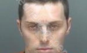 HARRISON, JOHN FRANKLIN | 2019-11-15 15:15:13 Pinellas County, Florida Booking