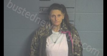 TRACY L PEPPER | 2019-11-15 18:41:00 Adair County, Kentucky Booking