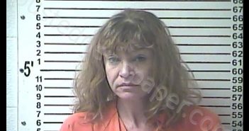 AMY LYNN PALUMBO | 2019-11-15 02:26:00 Hardin County, Kentucky Booking
