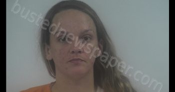 ASHLEY COURTNEY SHERRILL | 2019-11-15 11:10:00 Western Tidewater, Virginia Booking