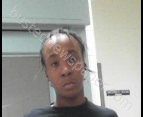 BUNTING, SYENNACHE EMMERALD #, Cabell County, West Virginia - 2019-11-15 20:45:00