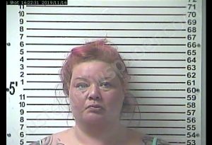 MICHELLE LYNN WILLIAMS | 2019-11-16 01:02:00 Hardin County, Kentucky Booking