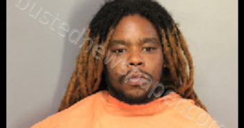 JOHNSON, RICHARD GEORGE | 2019-11-16 05:23:00 Florence County, South Carolina Booking