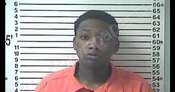 CHLOE RENEE TERRELL | 2019-11-16 01:18:00 Hardin County, Kentucky Booking