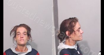 <B>TELLEZ</B>, <B>STEPHANIE</B> <B>MARIE</B> #, Hidalgo County, Texas - 2019-11-16