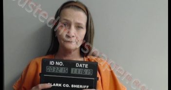 MARY TAMMY PENROSE | 2019-11-16 00:19:00 Clark County, Missouri Booking