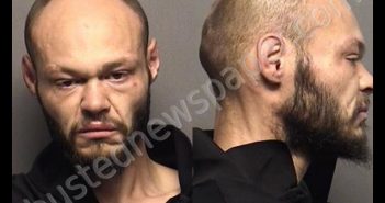 BELL,BRIAN WILLIAM | 2019-11-16 13:57:00 Saline County, Kansas Booking