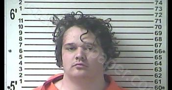 CHRISTEN DANIEL HORNBACK | 2019-11-17 21:29:00 Hardin County, Kentucky Booking