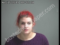 WILBURN MOLLY JANE ALYCE | 2019-11-17 Sandusky County, Ohio Booking