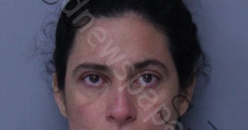 PITA MONTUFAR, <B>SANDRA</B> DEL PILAR #, St. Johns County, Florida - 2019-11-17 17:14:00