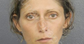 LINGARD, CHRISTINE ANN | 2019-11-18 Broward County, Florida Booking